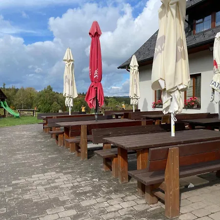 Hotel Pod Dratnikem Svratka