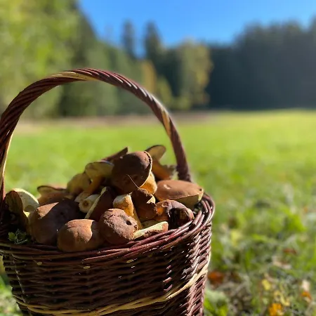 Pod Dratnikem Отель Svratka