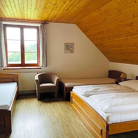 Hotel Pod Dratnikem 4*