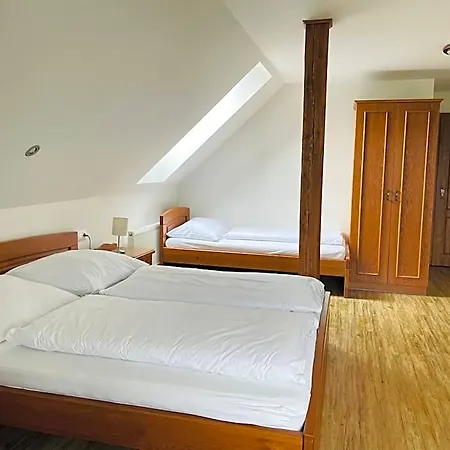 Pod Dratnikem Hotell Svratka
