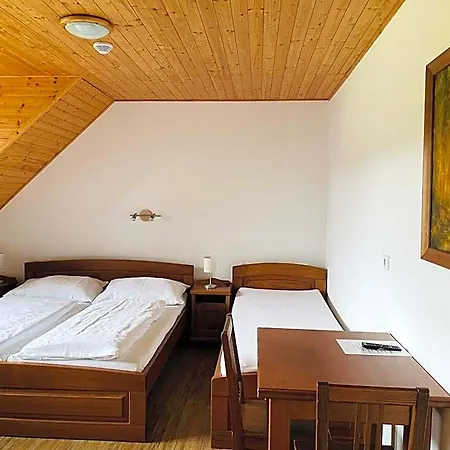 Pod Dratnikem Hotel Svratka