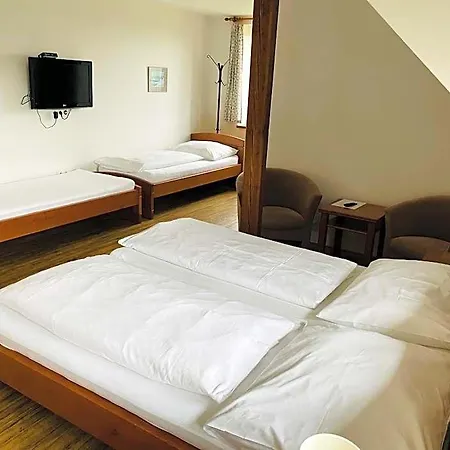 Pod Dratnikem Hotel Svratka