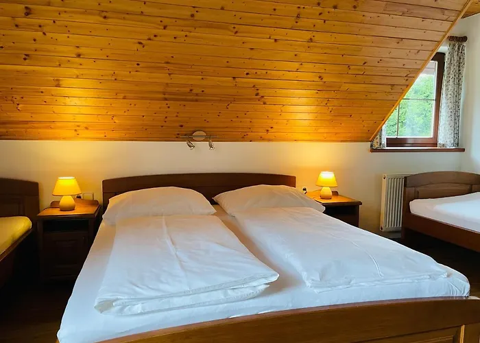 Szálloda Pod Dratnikem 4*