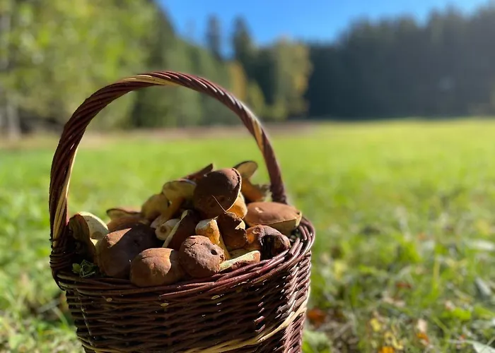 Pod Dratnikem Szálloda Svratka