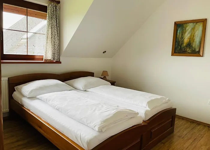 Szálloda Pod Dratnikem 4*